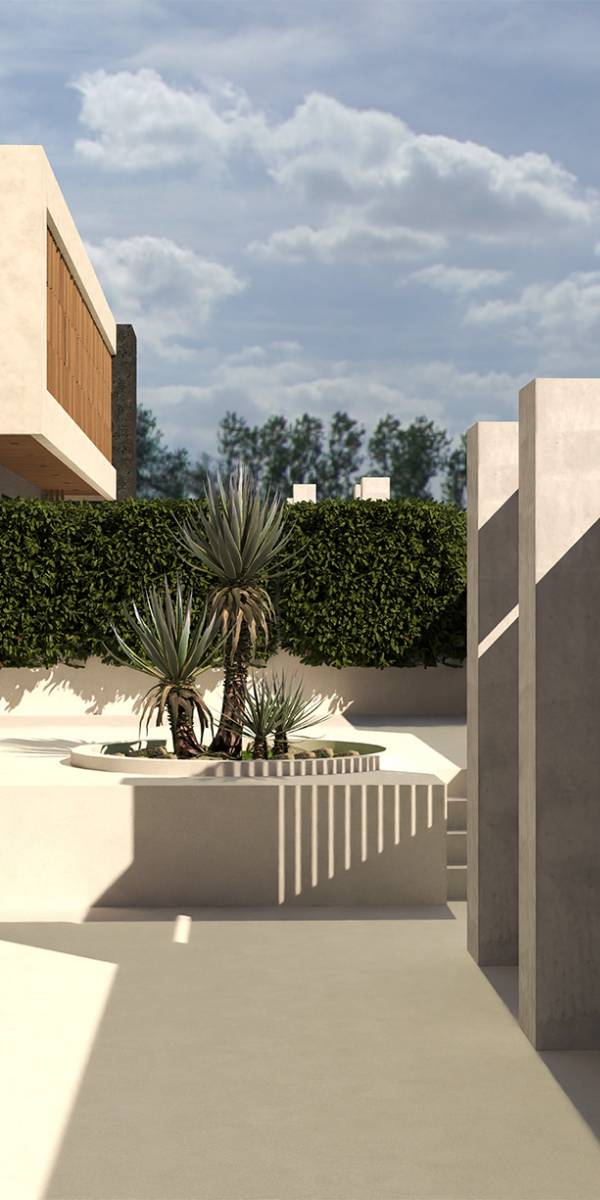 im 12 COMPRESSED.jpg